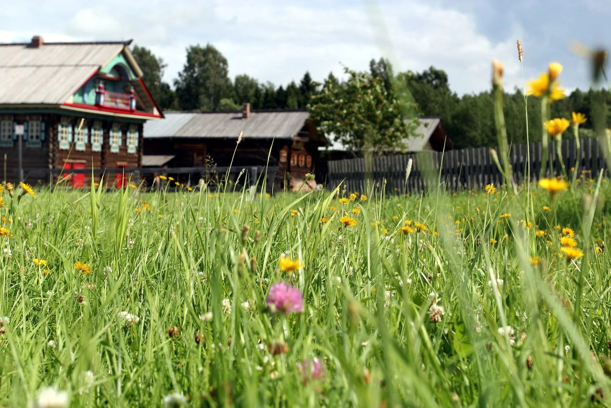 Заброшенные деревни вологодской области на андозере. Д остров. Николай рубцов деревня. Деревня слободищево сокольский район вологодская область. Заброшенные деревни великоустюгского района.