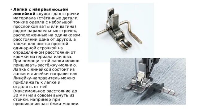 Лапка линейка. Лапка линейка