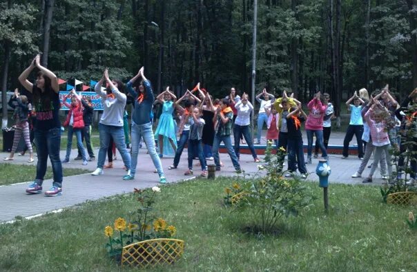 В каком лагере был соколов. Лагерь Сокол Белгород. Сокол летний лагерь Белгород. Детский лагерь Сокол Городецкий район. Сокол лагерь Нижний Новгород.