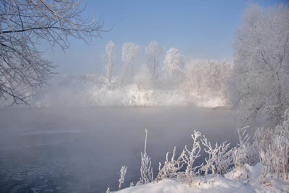 морозный туман. снежная дымка. ледяной аляскинский смог. может ли туман быть морозным. туманное зимнее утро.