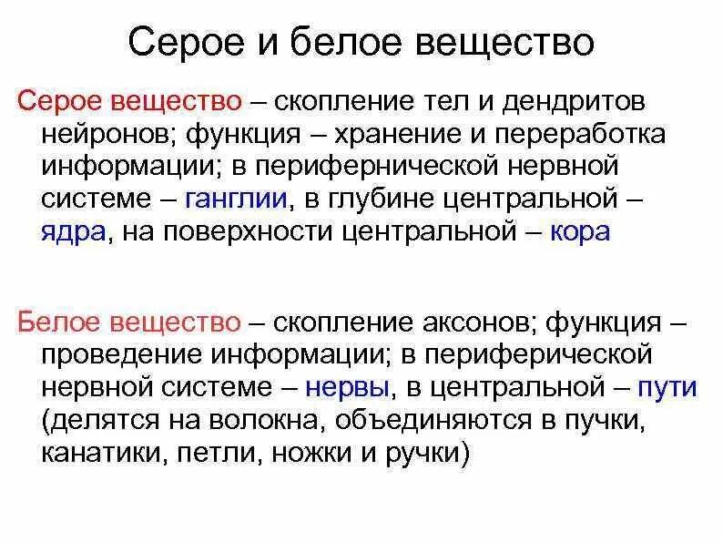 Из чего состоит серое вещество. Серое и белое вещество нервной системы функции. Серое вещество нервной системы образовано. Что такое белое и серое вещество центральной нервной системы. Аксон образует серое вещество