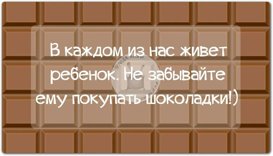 Пошла купить книги. Шоколад. Смешные шоколадки. Цитаты про шоколад. Смешные цитаты про шоколад.