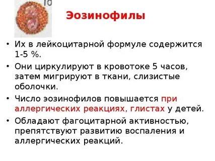 Что означает эозинофилы выше нормы