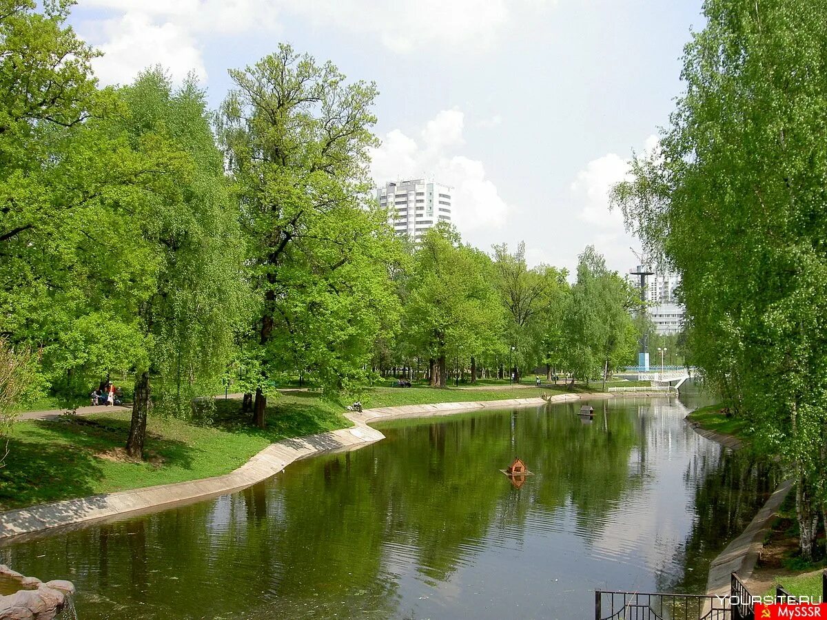 Лианозовский парк пруд. Лианозово (парк культуры и отдыха). Лианозовский пруд в парке. Лианозовский парк СССР.