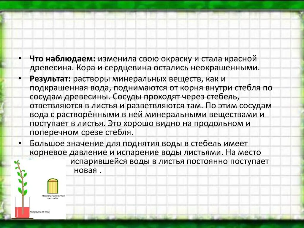 Верные утверждения о процессе корневого давления