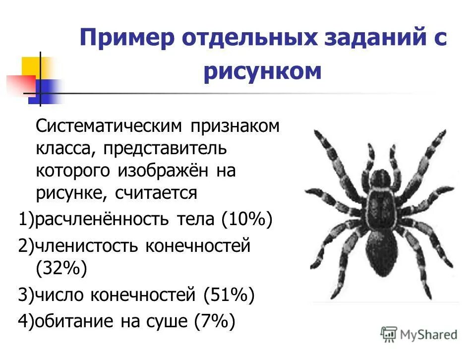 Систематическим признаком класса. Классификация растений и животных. Систематическое положение человека разумного 8 класс. Покровы тела паука. Основные таксоны систематики растений.