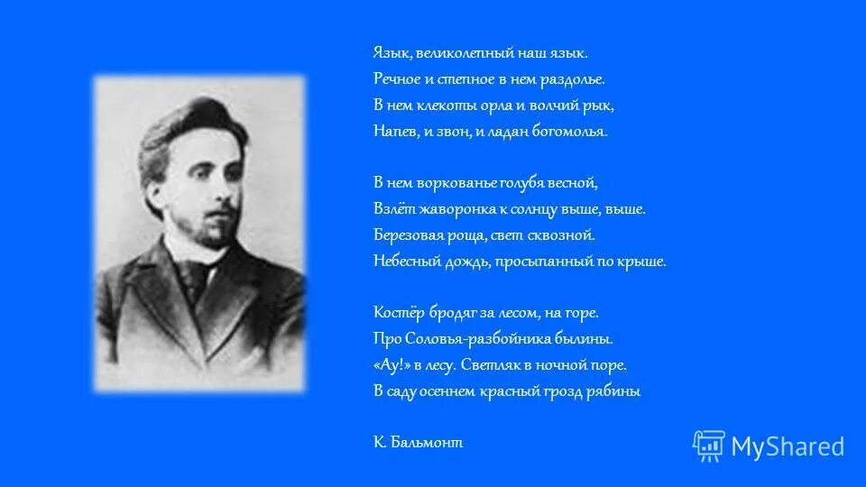 Язык душа народа. Родной язык душа народа. Стих язык великолепный наш. Язык душа народа стих.