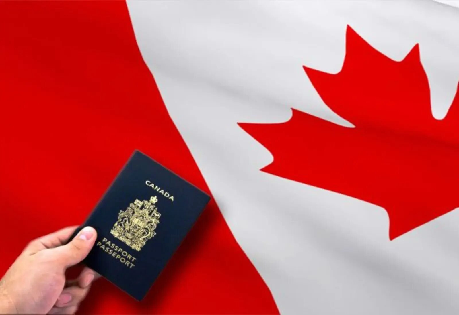Visas immigration. Иммиграция в Канаду. Гражданство Канады. Виза в Канаду. Канадский гражданин.