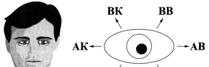 Направление взгляда человека. Движение глаз психология. Направление глаз человека. Психология по глазам человека.
