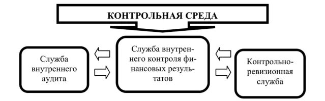 Элементы организации контроля. Контрольная среда организации. Контрольная среда это в аудите. Элементы контрольной среды. Контрольная среда СВК.