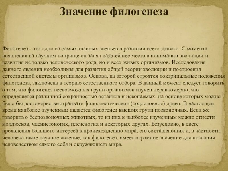 Филогенез. Филогенез доклад. Развитие речи в филогенезе. Филогенез языка.