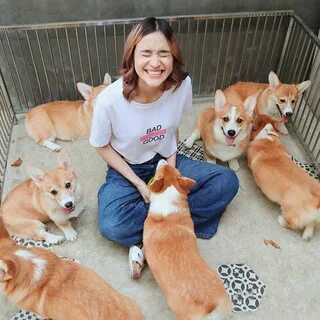Корги рука