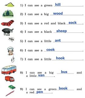 Rainbow english step 8