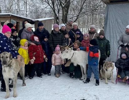 Ковчег кашира