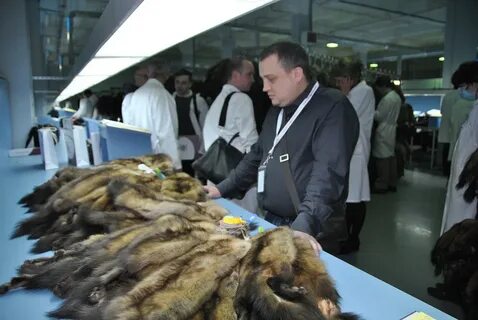 Союзпушнина аукцион