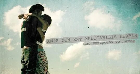 Amor non est medicabilis herbis. Amor non est medicabilis herbis. Amor non est medicabilis herbis. Amor non est medicabilis herbis. Roma amor spanish.