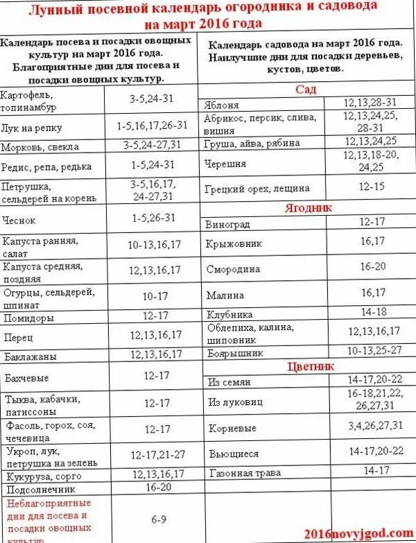 Календарь огородника на март 2023