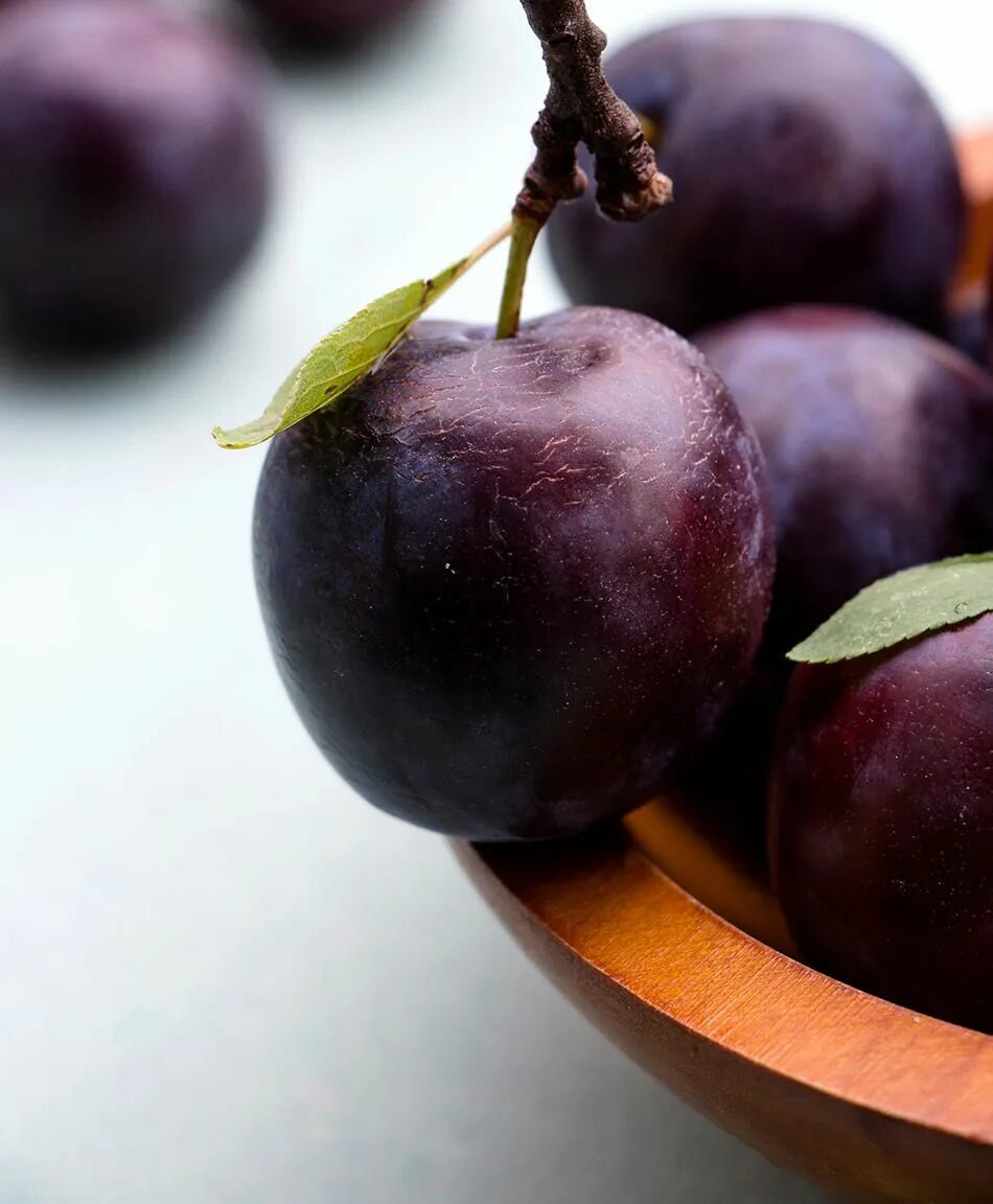 Plum color