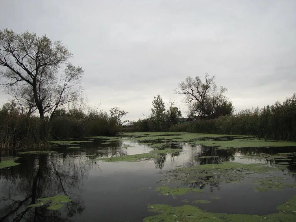 верхняя хава река хава. погода р хава. новая усмань воронежская область село рождественская хава. село шукавка. храм рождества христова, рождественская хава.