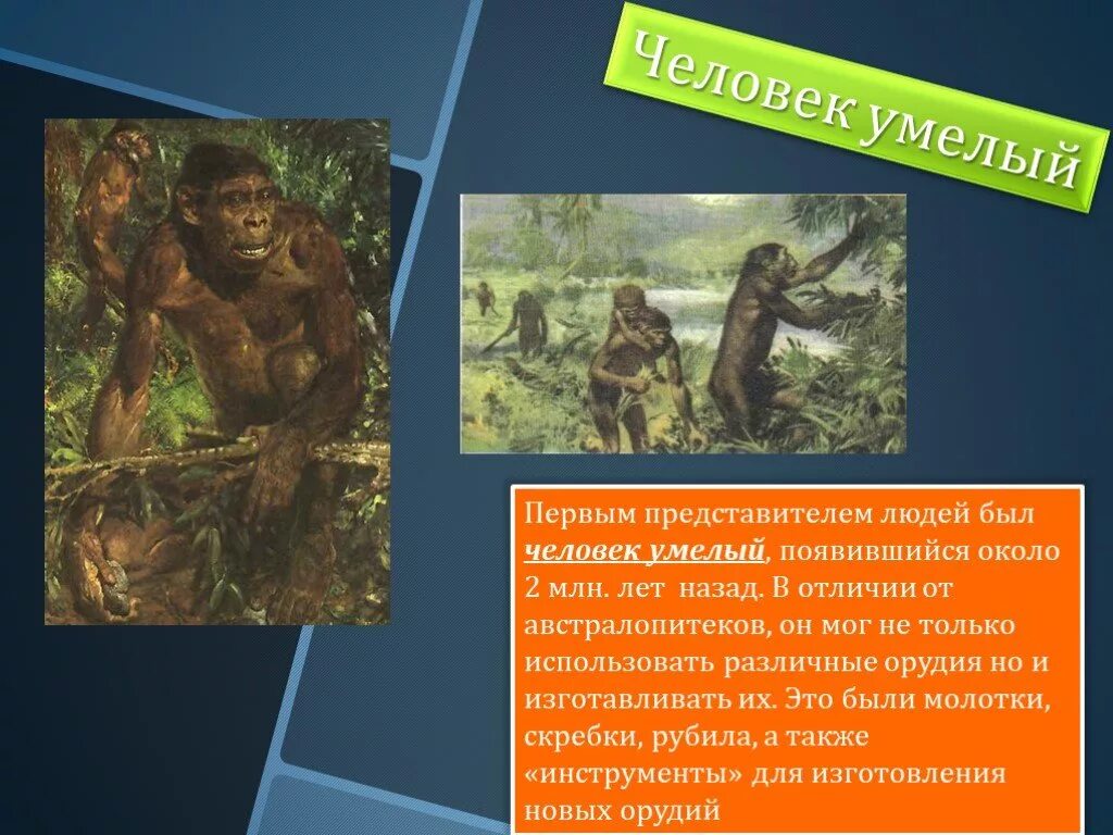 Сколько лет назад образовалась. Первые люди на земле появились. Человек умелый. Как появился человек на земле. Как появился человек умелый.