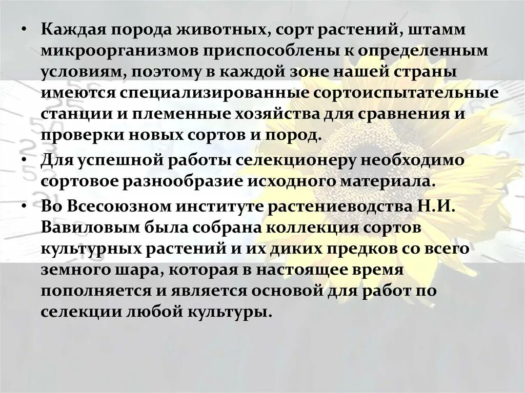 Определение сорт порода штамм. Сорт порода штамм это. селекция растений. селекция сорт порода штамм. сорт, порода, штамм. методы селекции растений и животных..