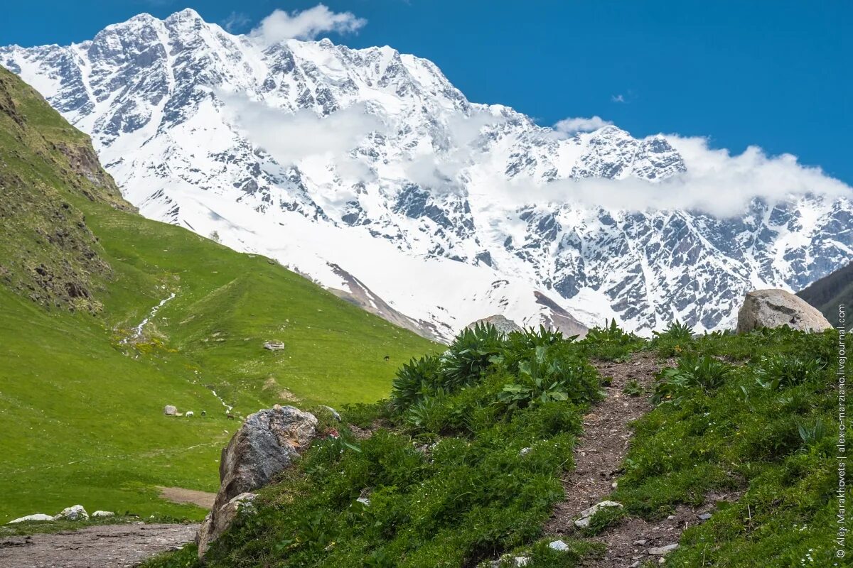 Гора Шхара Северный Кавказ. Климат в горах Северного Кавказа. Шхара Западная. Ледник Шхара. Наивысшая гора северного кавказа