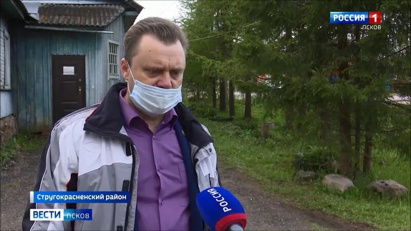 Бровск псковская область. Новоселье псковская область. Прогноз погоды новоселье стругокрасненского. Прогноз погоды новоселье стругокрасненского. Стругокрасненская школа.