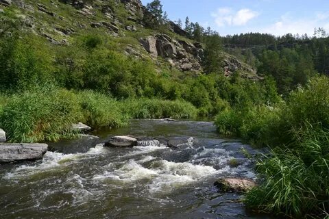 Сакмара впадает