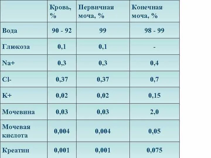 Первичная моча содержит белки. Вещества в первичной моче. Первичная моча норма. Вода первичная моча. Аминокислоты в первичной и вторичной мочи.