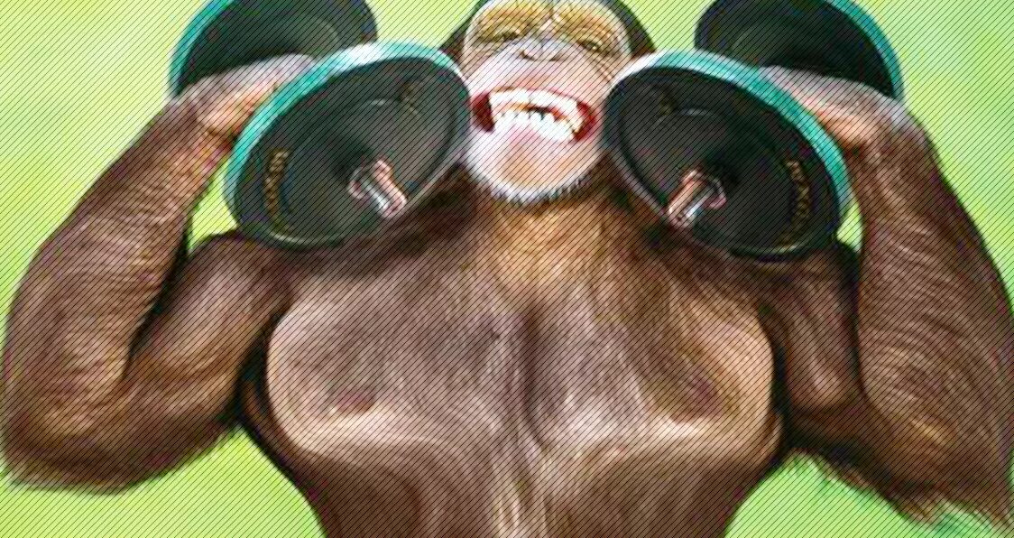 Monkey generator