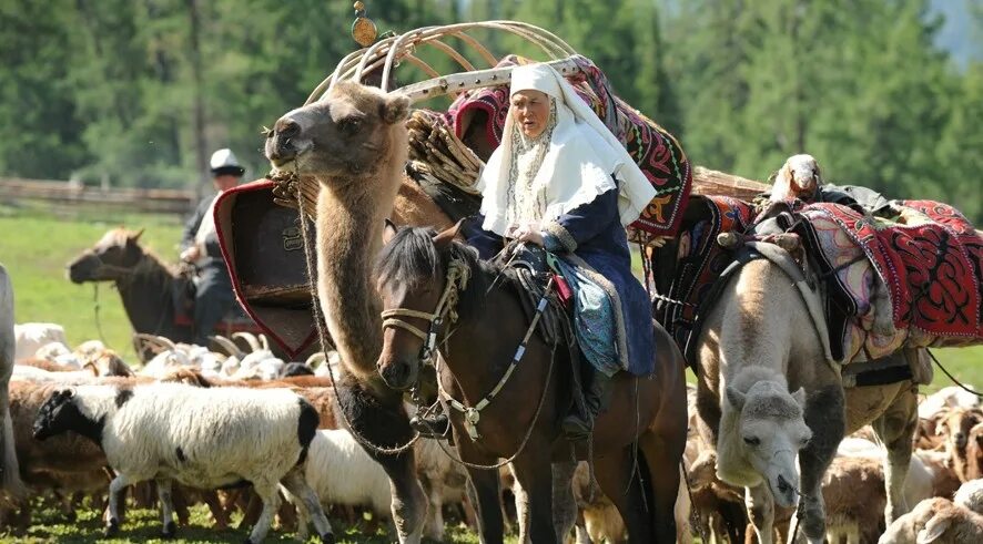 Түркілер және олардың өмір сүру салты. Түркілер және олардың өмір сүру салты. Түркілер және олардың өмір сүру салты. Ойраты джунгары. Тюркский каганат.