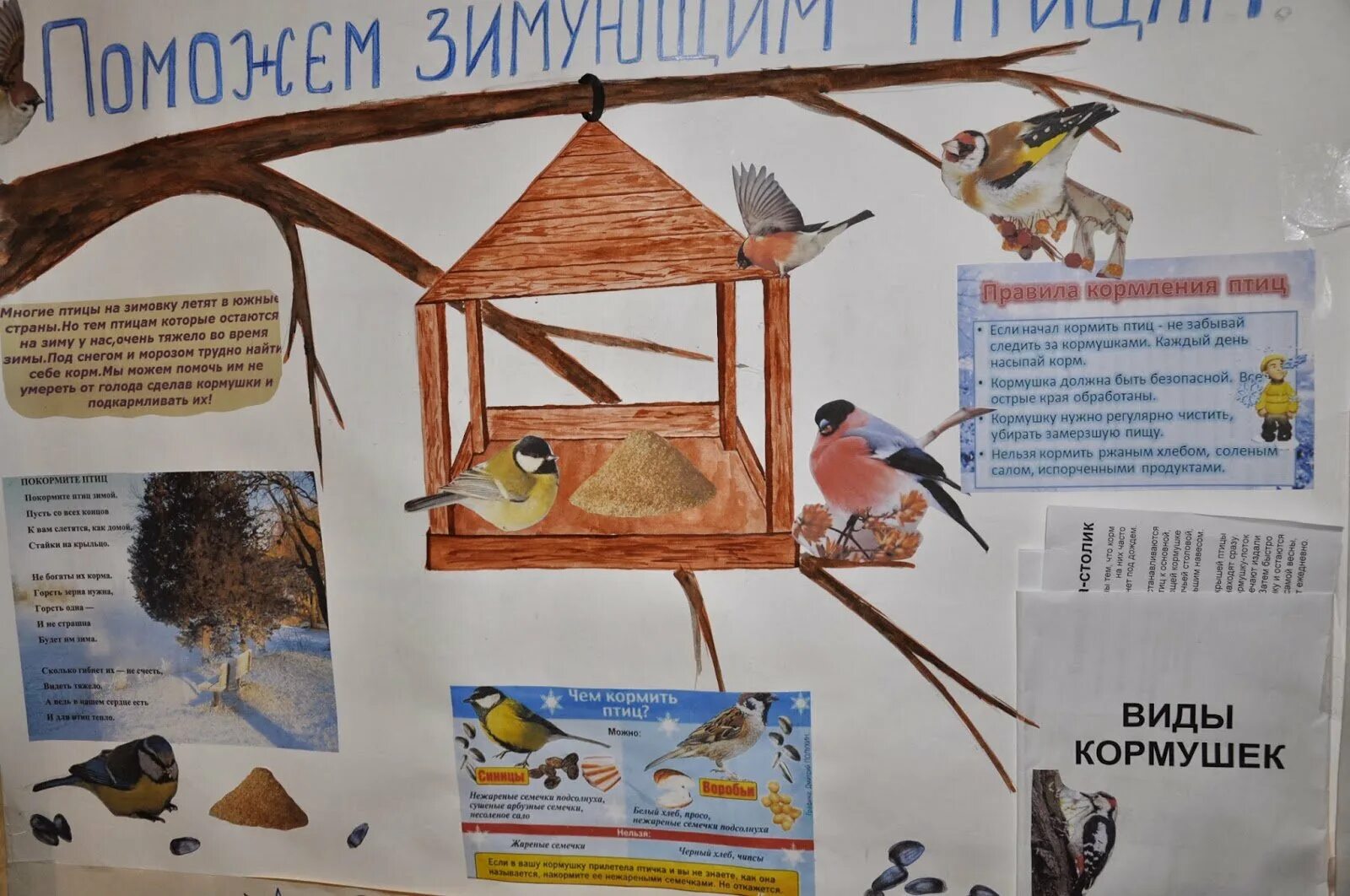 Проект на тему как помочь птицам зимой. Плакат кормушка для птиц. плакат помоги птицам. проект помоги птичкамс зимой. проект кормушка для зимующих птиц.