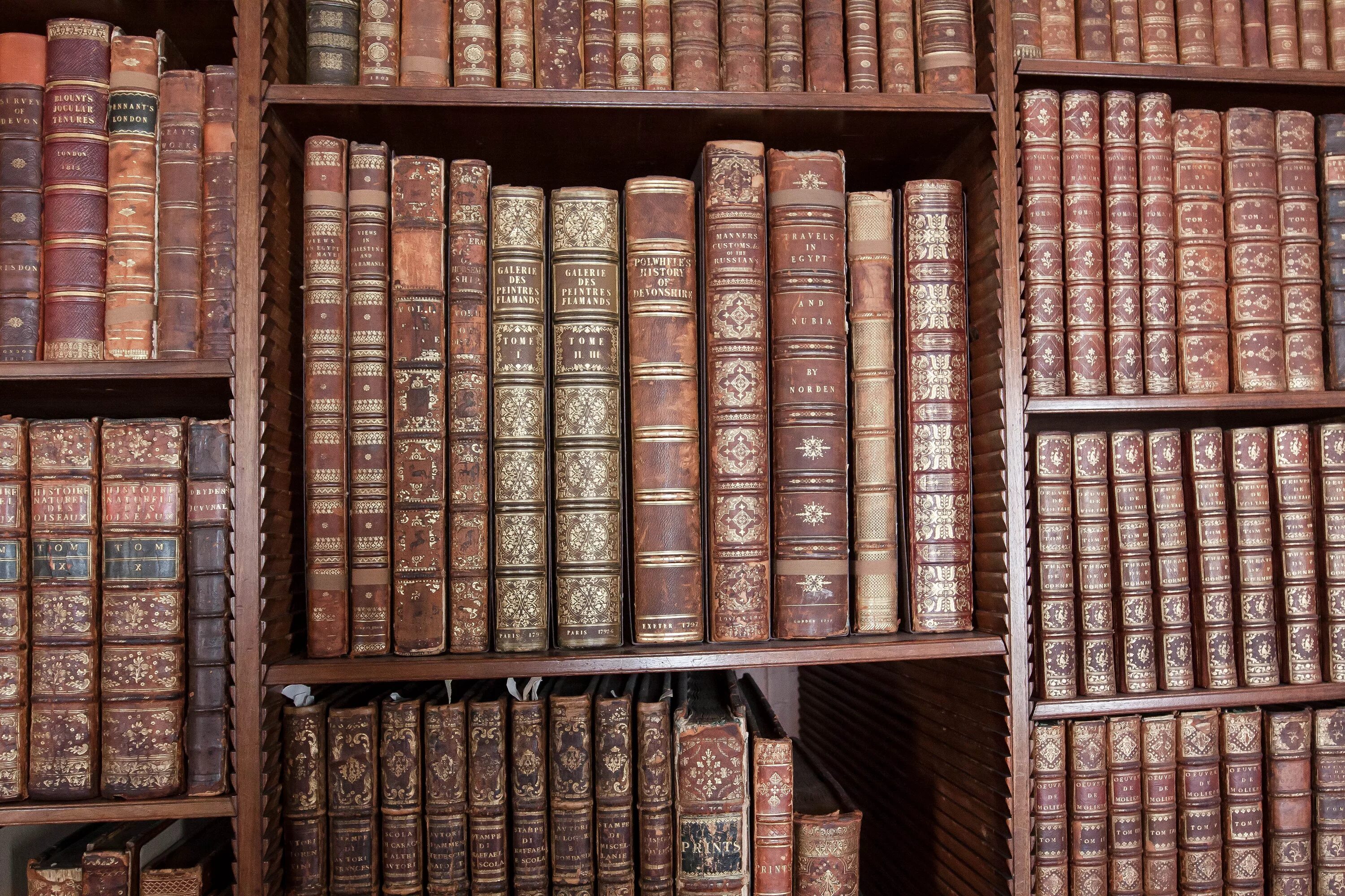 Библиотека книг book. Полки для книг. Старинный стеллаж с книгами. Шкаф для книг. Книжные полки старинные.