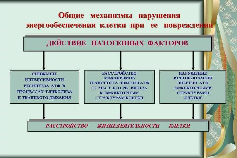 Расстройства энергетического обеспечения клетки. Механизм нарушения клетки. Общие механизмы повреждения клетки. Механизмы повреждения энергетического обеспечения клетки;.