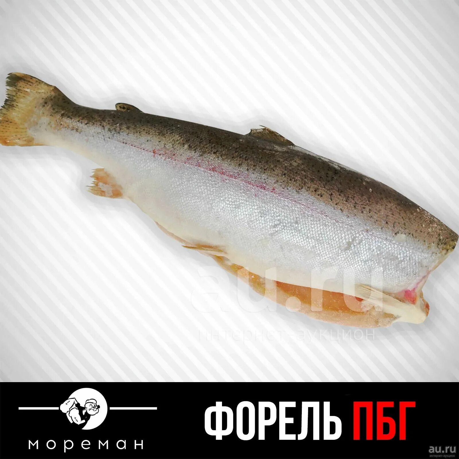 Форель ПБГ 1.8-2.7. Форель морская ПБГ. Форель потрошеная без головы. Форель морская потрошеная без головы. Форель б г