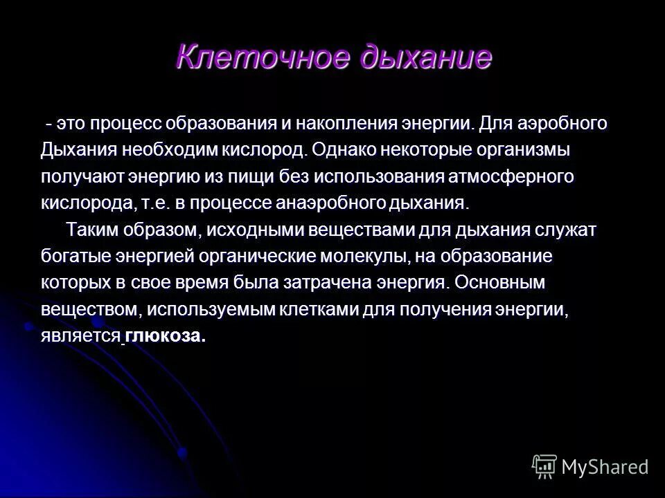 процесс образования и накопления химической энергии. процесс фотосинтеза молекулы. фотосинтез выделение углекислого газа. фотосинтез схема углекислый газ. кислород необходим для получения энергии.