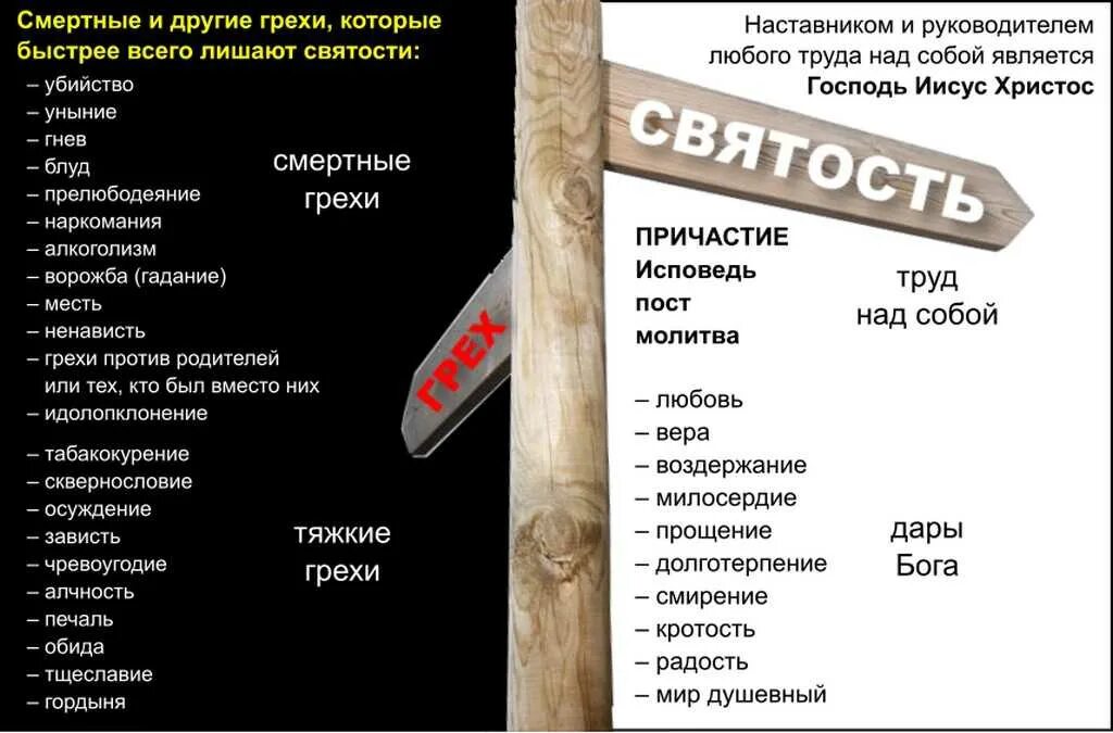 Какие 7 грехов. Смертные грехи список в православии. список смертных грехов в православии. список грехов по библии. семь смертных грехов в православии список.