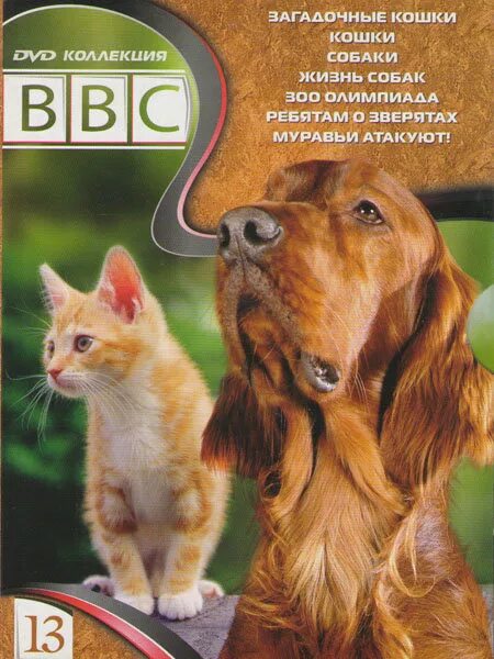 Ребятам о зверятах ббс. Ребятам о зверятах (DVD). ВВС ребятам о зверятах DVD. Жизнь собак bbc.