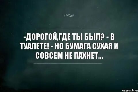 Футболка совсем не пахнет прикол