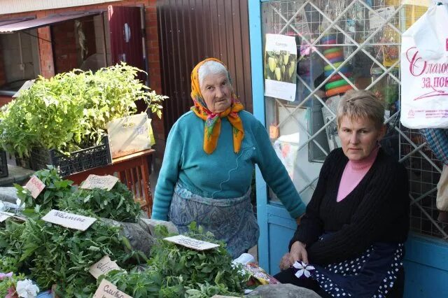 погода в курчанской на 30 дней. темрюк вечный огонь. прогноз погоды на неделю. погода на январь месяц. погода в курчанской на 30 дней.