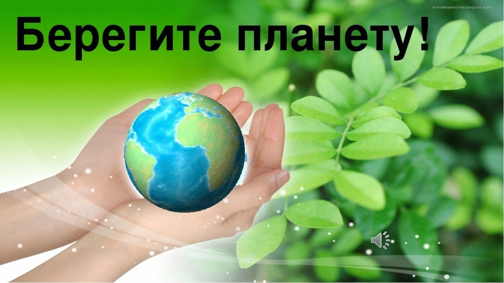 Материал береги природу. Берегите планету. берегите нашу планету. сохраним природу вместе. бережем планету.