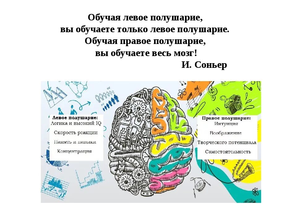 Развитие правого и левого полушарий. Левое полушарие. За что отвечает левое и правое полушарие. Полушария мозга для детей. Развитие полушарий мозга.