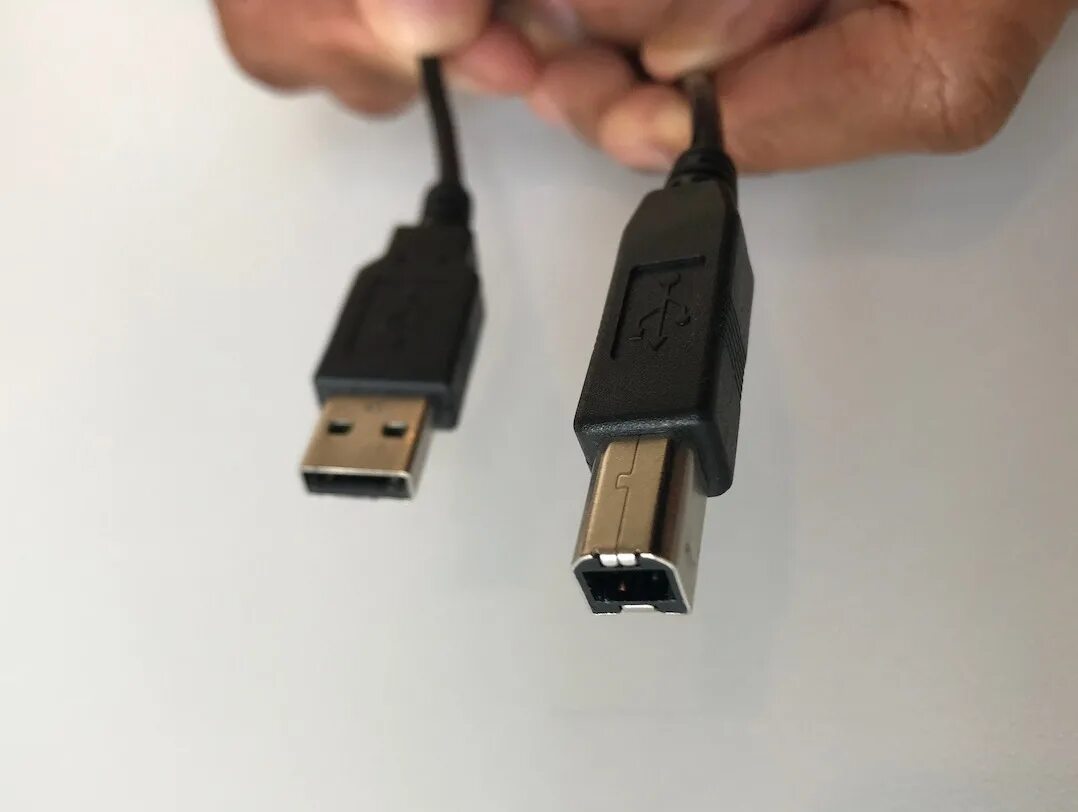 Usb connection. USB to host кабель Yamaha. USB connect. Кабель для подключения пианино к компьютеру. Разъем to host.