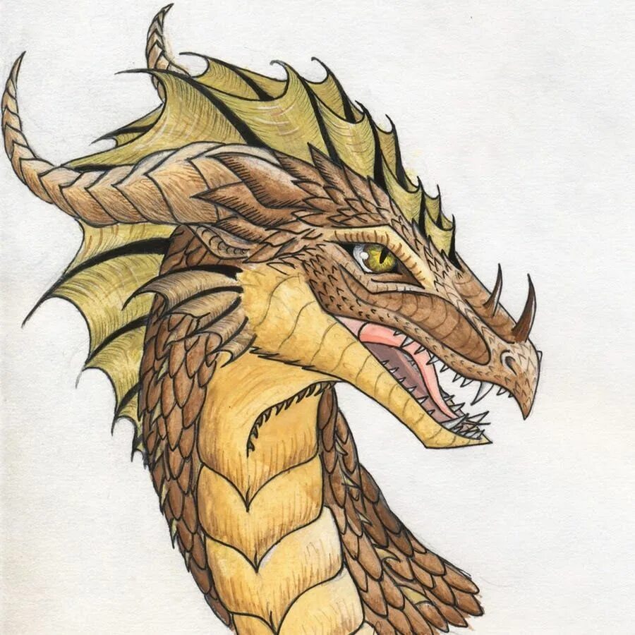 Голова дракона силуэт. Голова дракона. Морда дракона. Голова дракона изображение. Дракон смауг скетч.