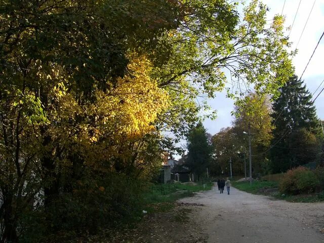 Тарусская серпухов завтра. Таруса проспект Пушкина. Смотровая площадка, Таруса, Еловая аллея. Камера Таруса.