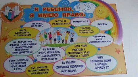 Мое право твое право