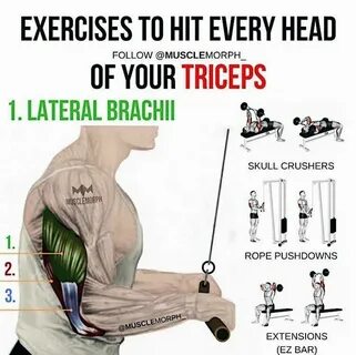 Head exercises
