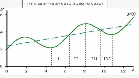 4 фаза цикла