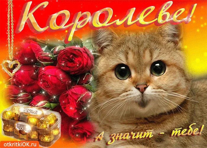 Комплименты девушке доброе. Красивые комплименты девушке. открытки с комплиментами девушке. комплименты девушке картинки. открытка комплименты.