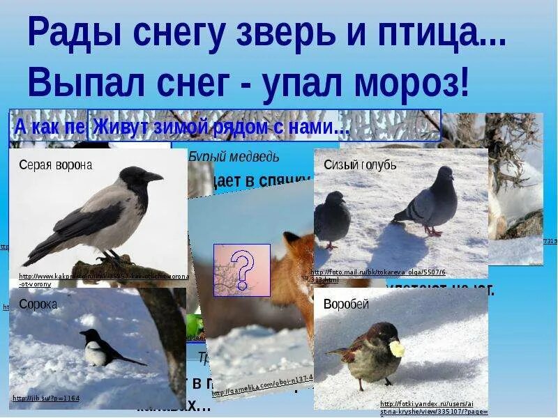 Рады снегу зверь и птица и конечно человек стихи. Снег упал на мороз. Выпал снег стих. Советские стихи для детей. Рады снегу.